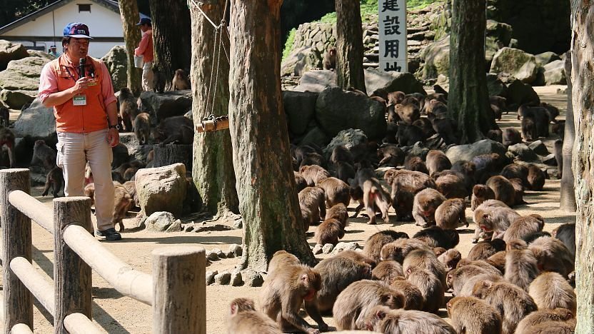 🐒 다카사키야마 자연 동물원(다카사키야마 시젠 도부쓰엔)